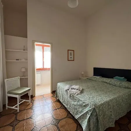 Molto Spazioso, Viale Buonarroti, Viareggio. Viareggio